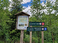 Soli_20240614_666c9be16c453.jpg