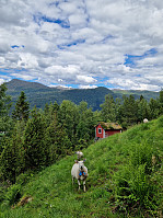 Soli_20240614_666c9be39e36a.jpg