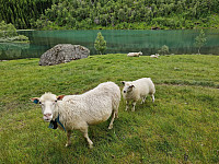 Soli_20240704_6686f29756a53.jpg