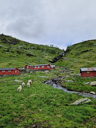 Åsete