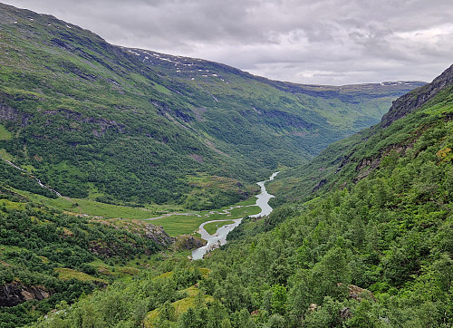 Mørkrisdalen