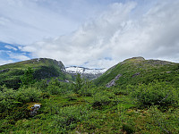 Soli_20240704_6686fc74c3513.jpg