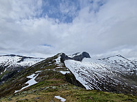 Soli_20240704_6686fc7641f1f.jpg