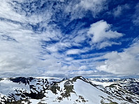 Soli_20240704_6686fc78aa488.jpg