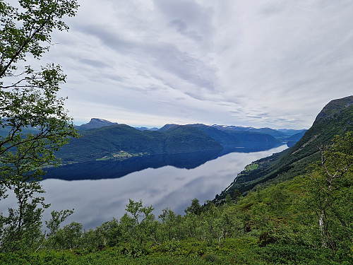 Flott utsikt mot Hornindalsvatnet når ein kjem ut av skogen.