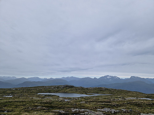 Litt grått på toppen.