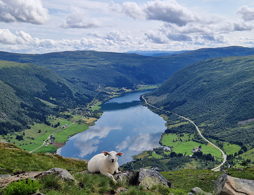 Dalavatnet