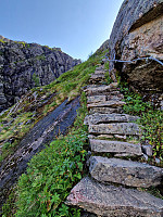 Soli_20240804_66af8e367b406.jpg