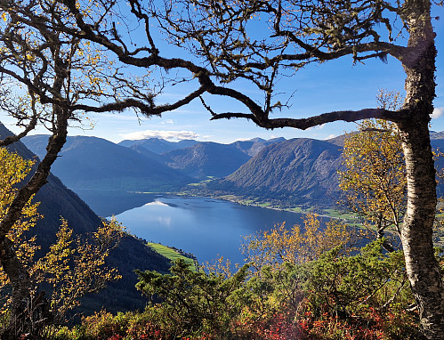 Jølstravatnet