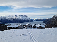 Soli_20250202_679fbd74c36ab.jpg