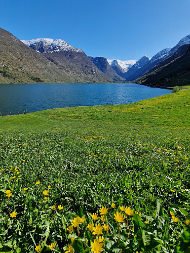 Oldevatnet 