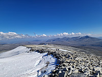 Soli_20250530_6839cce7441d8.jpg