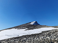 Soli_20250530_6839cce818063.jpg