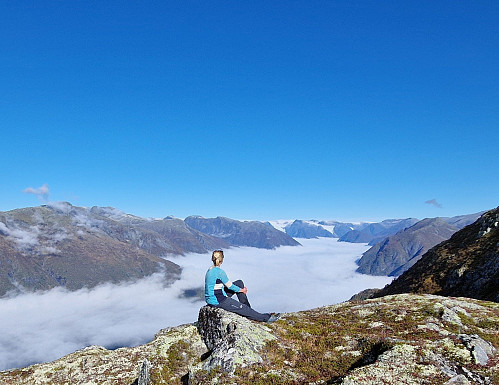 Mot Fjærland