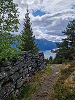Soli_20250623_685990540ff4e.jpg