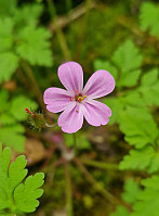 Soli_20250623_68599054e60eb.jpg