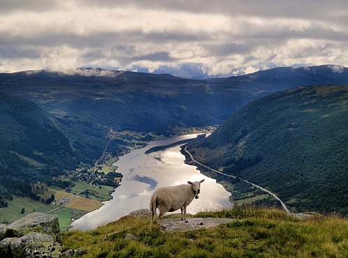 Dalavatnet