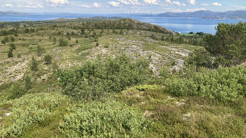 Utsikt mot ØNØ. Lettgått og fint terreng ytterst på Trøndelagskysten