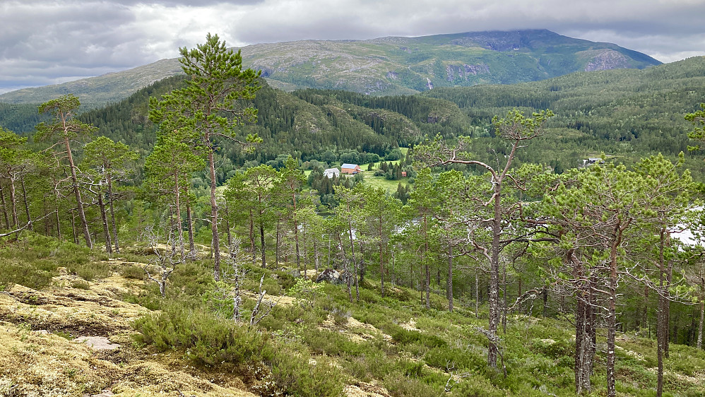 Utsikt nedover mot Sund. I bakgrunnen Hemnafjellet 695 som Stig og jeg besteg 30. november 2019 i et ufyselig uvær!