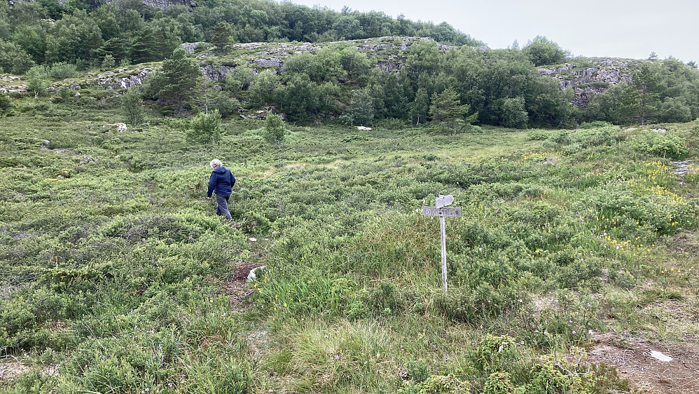 Korteste rute mot toppen går langs Øykjestien