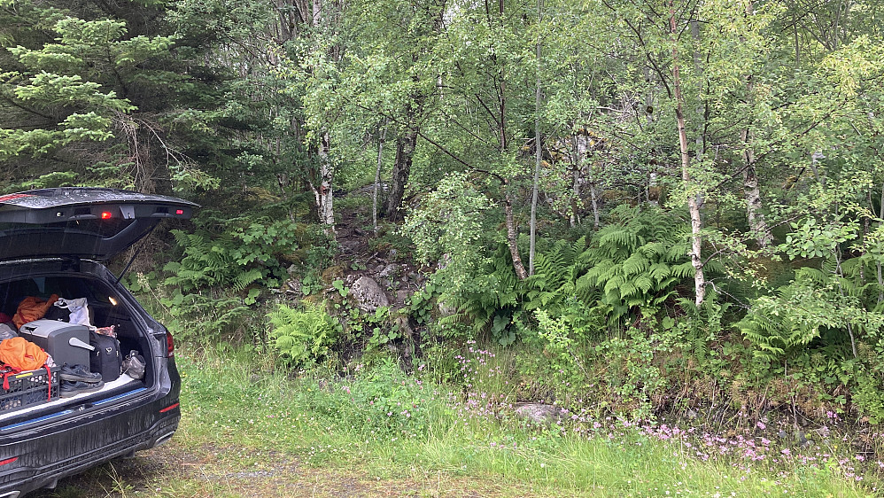 Godt skjult stistart Øvre Harsvika