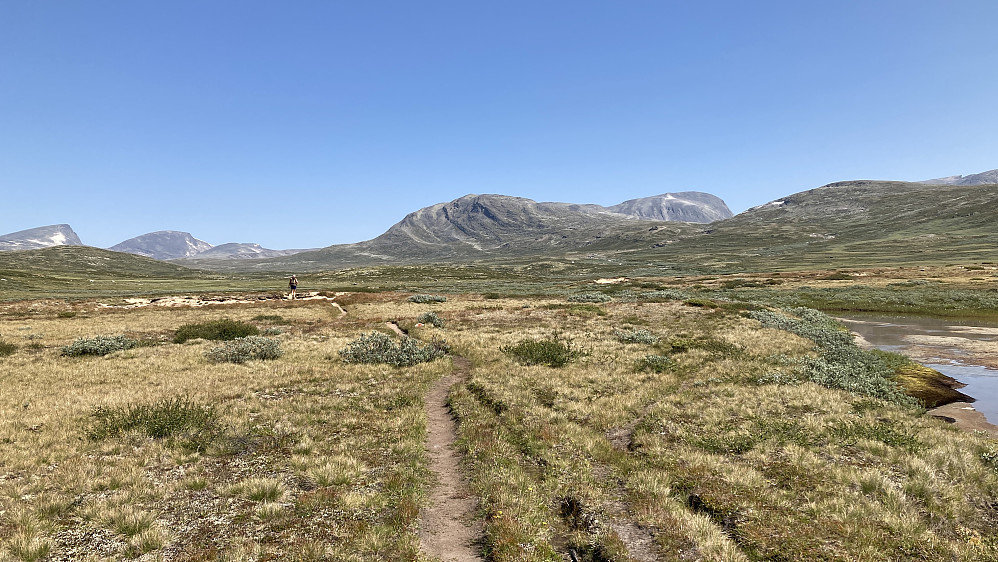 Lettgått terreng nordover mot Leirsjøtelet. Storskrymten synlig med hvit snøflekk i venstre billedkant. Er fjellene mot høyre Drugshøe 1748 og 1957?