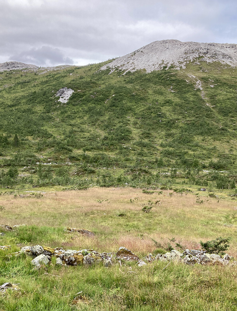 Ruiner/murer og slåttemark for Kleivastølen. Ljosåni i bunnen Ljosanddalen. Grånakken i bakgrunnen. Foto mot vest