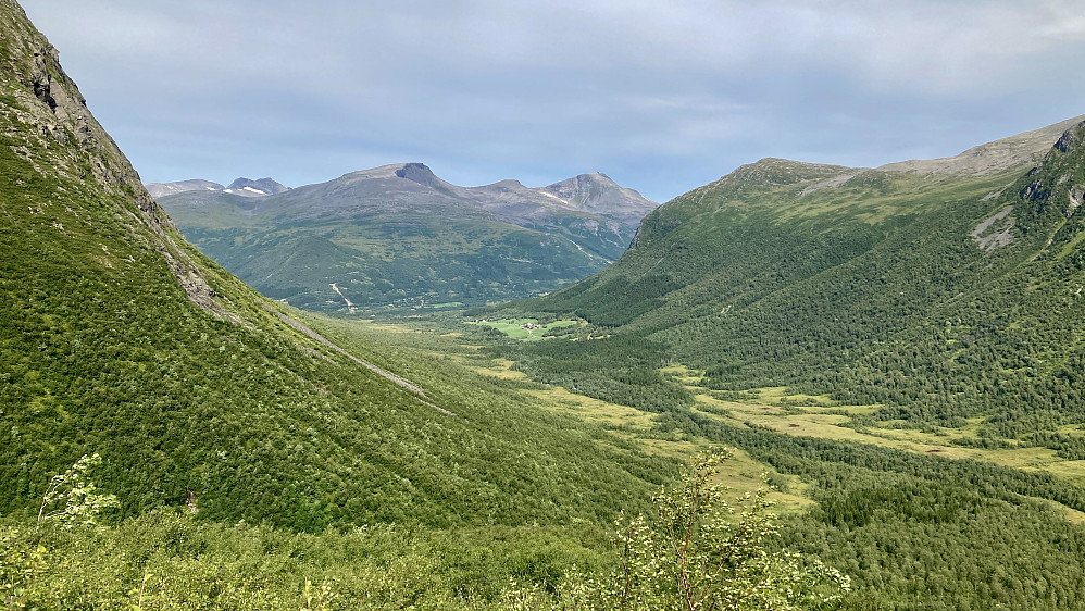 Tilbakeblikk mot gårdene i Seljebotnen fra stigningen opp til Uriskarbotnen. Fjellene i bakgrunnen sannsynligvis Auskjeret 1340 og Ørastolen 1392