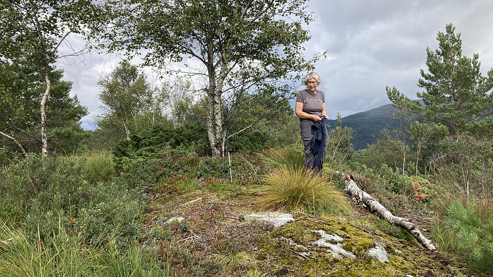 Astrid på toppen av Storsåta sør for Stemmevatnet
