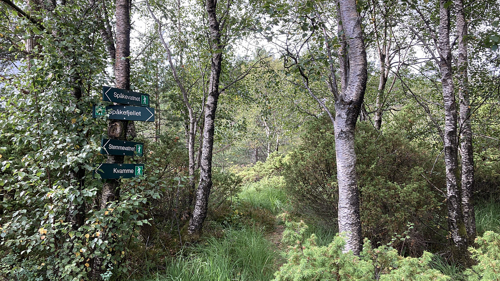 Stidelet der den gode, vardete stien mot Spåkefjellet også går til Nystemhaugen