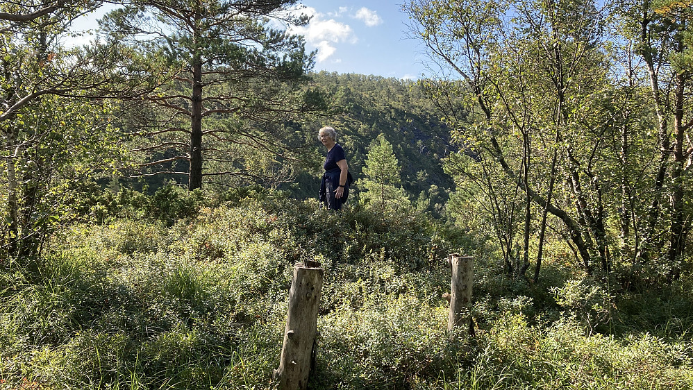 Astrid på Ådnerskarhaugen (Litle-Beitelen). Ingen markering på toppen.Noen tømmerstokker i lyngen vitner om at det har vært folk her før.