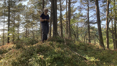 Astrid på toppen av Bjørnåsen