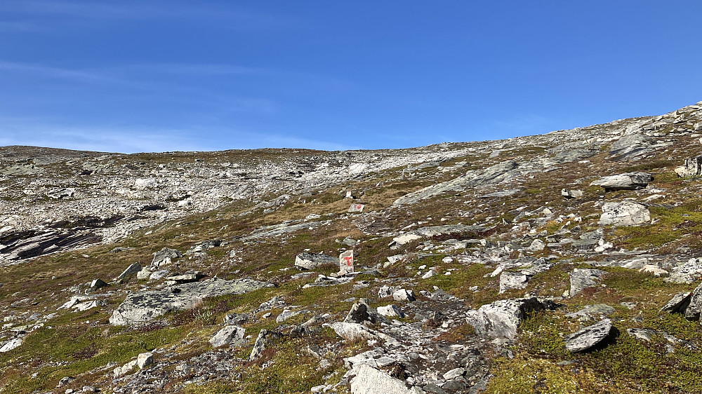 Lettgått terreng ved Langfjellet 1240 moh
