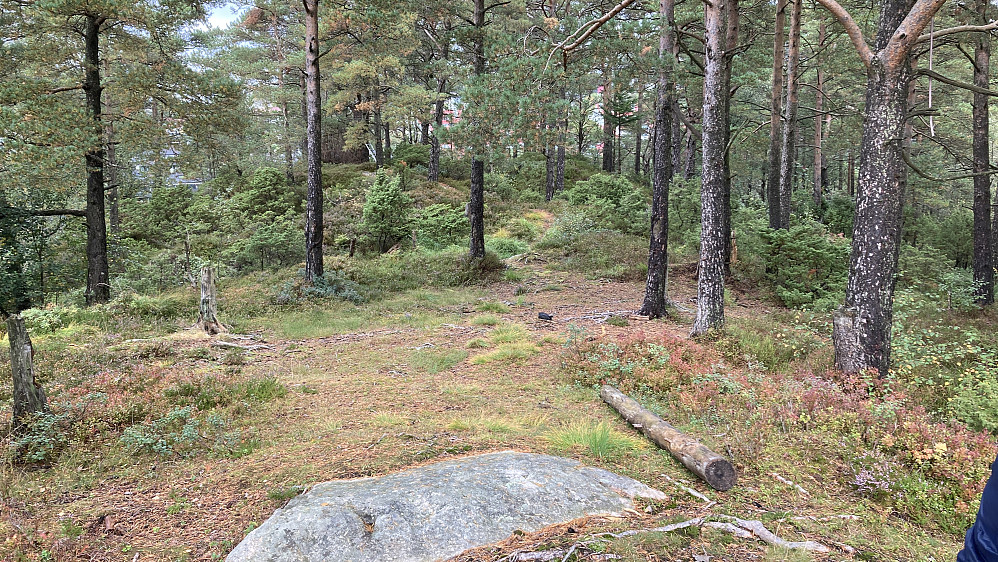 Området bærer preg av å være mye brukt. Høyeste topp i bakgrunnen