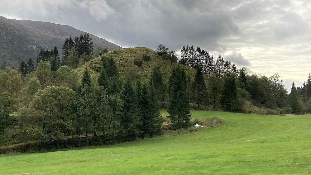 Kongshaugen sett fra veien mot Bontveit (nord)
