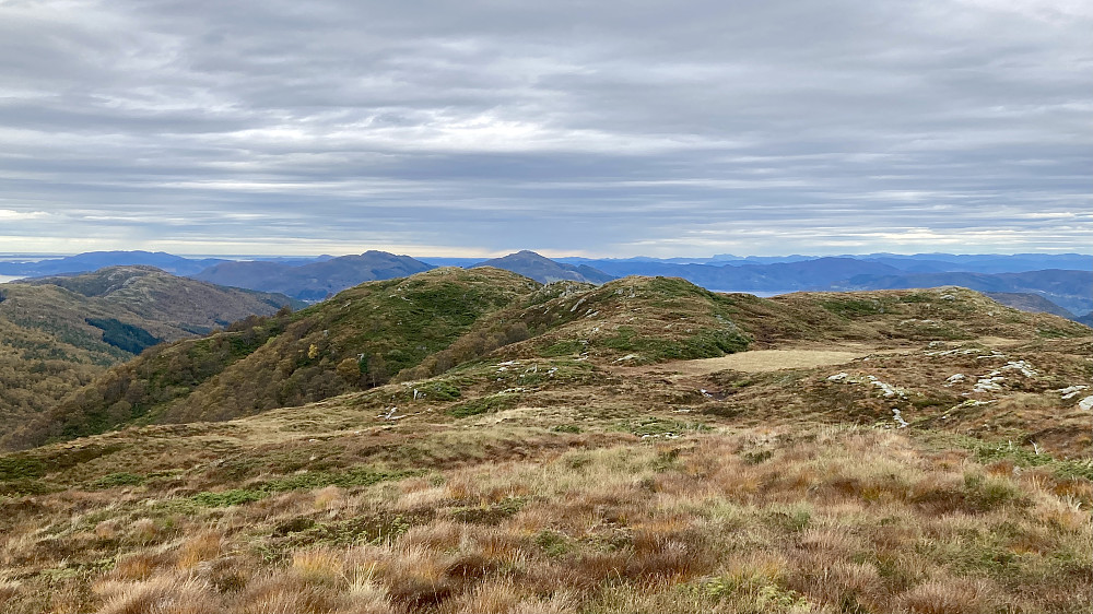 Mot Såtbotshaugen fra stidelet ved Såtbotn. Nærmeste område kalles Flatafjellet. Stien går først opp på en liten høyde (519.6 m) før den går ned i et lite dalsøkk og opp igjen til Såtebotshaugen, Veten i Åsane (486) helt i bakgrunnen