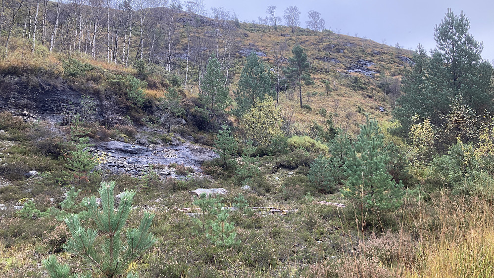 Fra denne flaten øst for sørenden av Krokavatnet går det en tilgrodd sti til Nedstaheia.