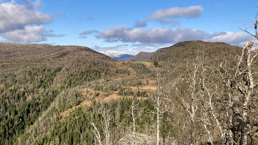 Nordover mot Singsetedalen. Lauvhovden mot høyre