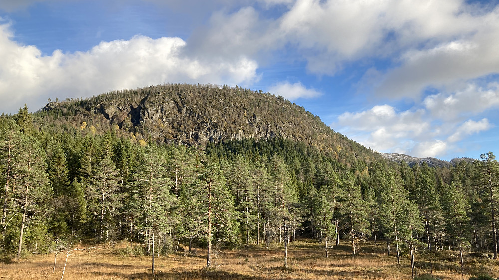 Klyvsnolten fra øst (skogsbilvegen)