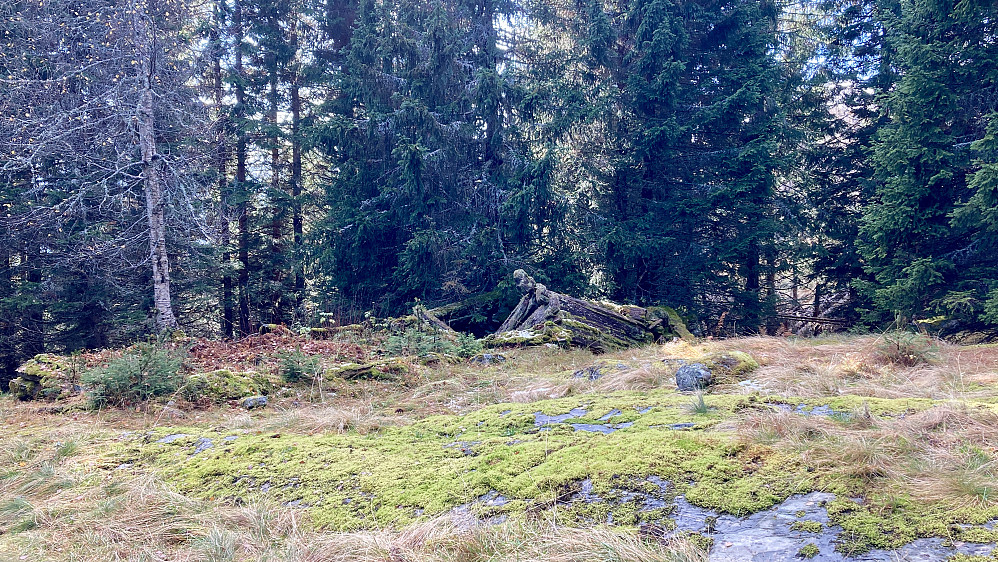 Murer og bygningsrester etter stølshuset fra 1752
