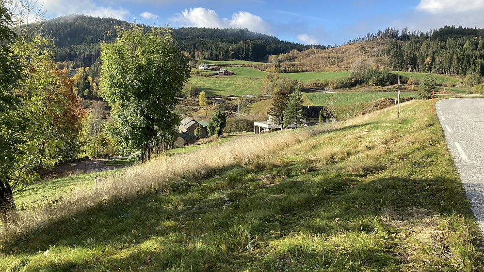 Garden Nedre Kløve sett fra Raundalsvegen. Vegen gikk opp disse gressbakkene. Almetrærne til venstre i bildet var en del av alléen som gikk langs den gamle vegen
