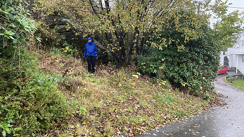 Stistart fra veien ved Kroken i V. Drotningsvik