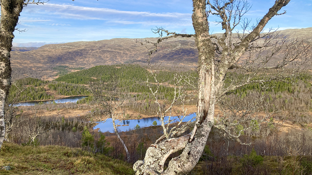 Utsikt østover mot Aurevatnet, Vatnaset og Strandaleitet mot vest. Mot NNØ Hovdatjørni og Kaldafjellet 1411 helt i bakgrunnen