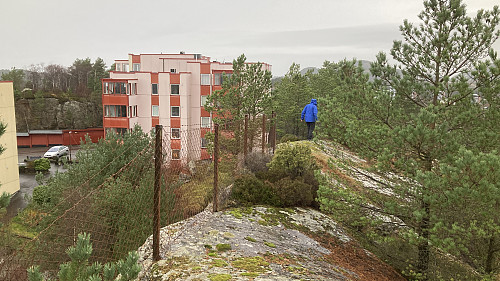 På vei tilbake mot Hetlevikåsen