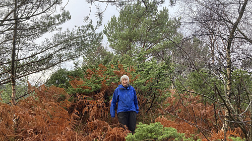 Høyeste punkt ligger midt inne i einerbuskene bak Astrid!