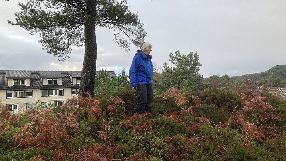 Astrid på Orresiktet 72 m med bebyggelsen i Hetlevikåsen i bakgrunnen