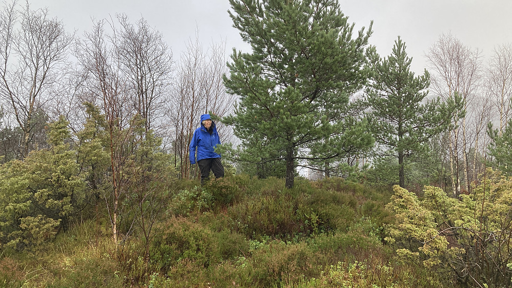 Astrid på toppen av Høyvikåsen