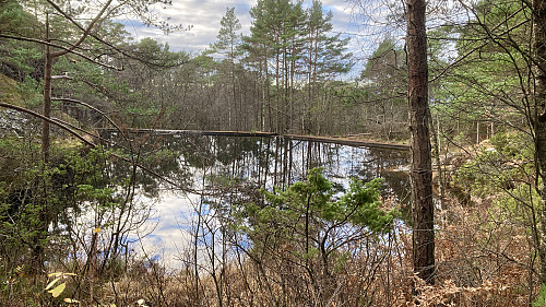 Demningen vest for Storrinden