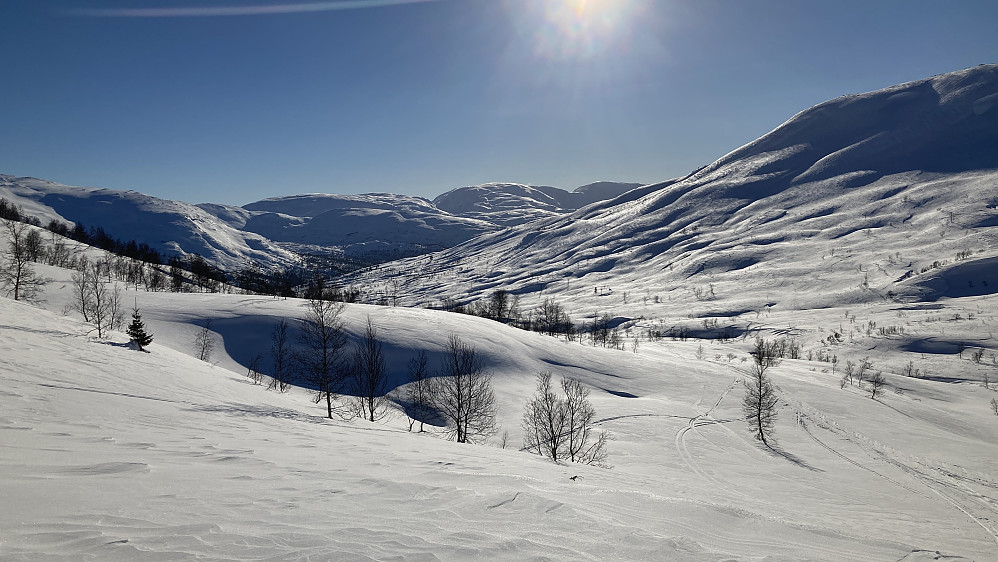 Nydelig nedover Ljosandalen denne dagen!