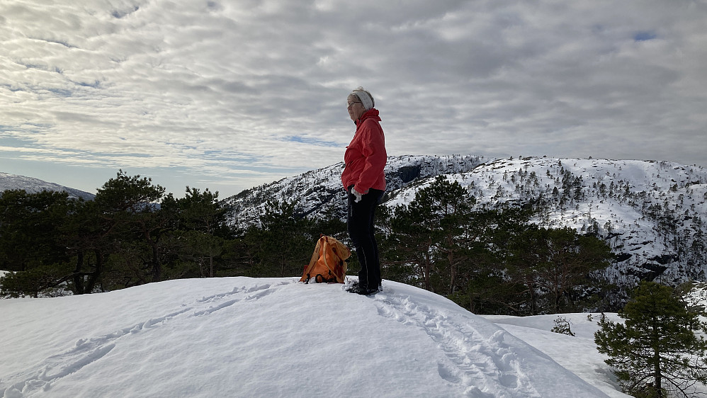 Astrid på toppen. Gråfjellet 486 i bakgrunnen